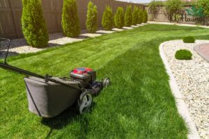 Maintaining Your Synthetic Lawn